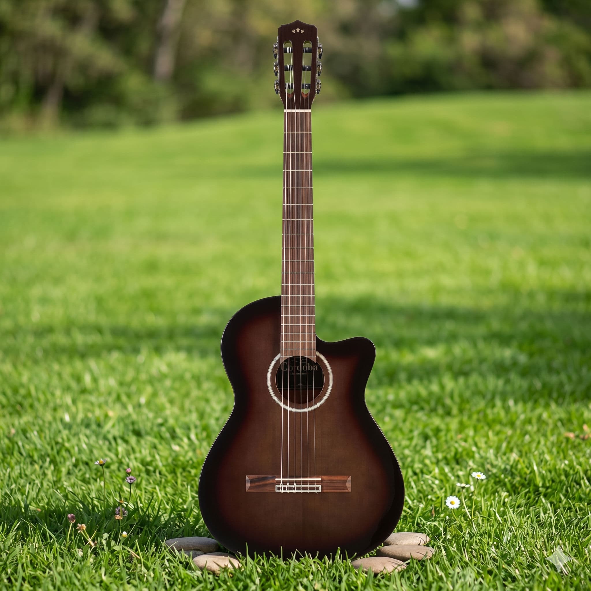 Đàn Guitar Classic Fusion 5